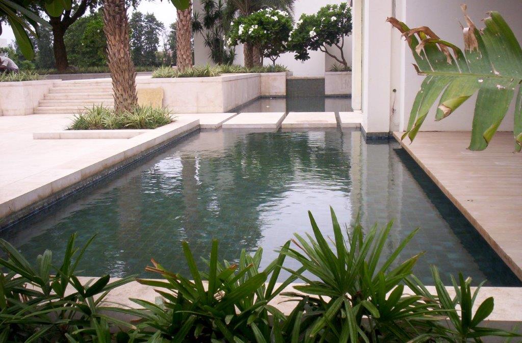 Private Farm, New Delhi (034)